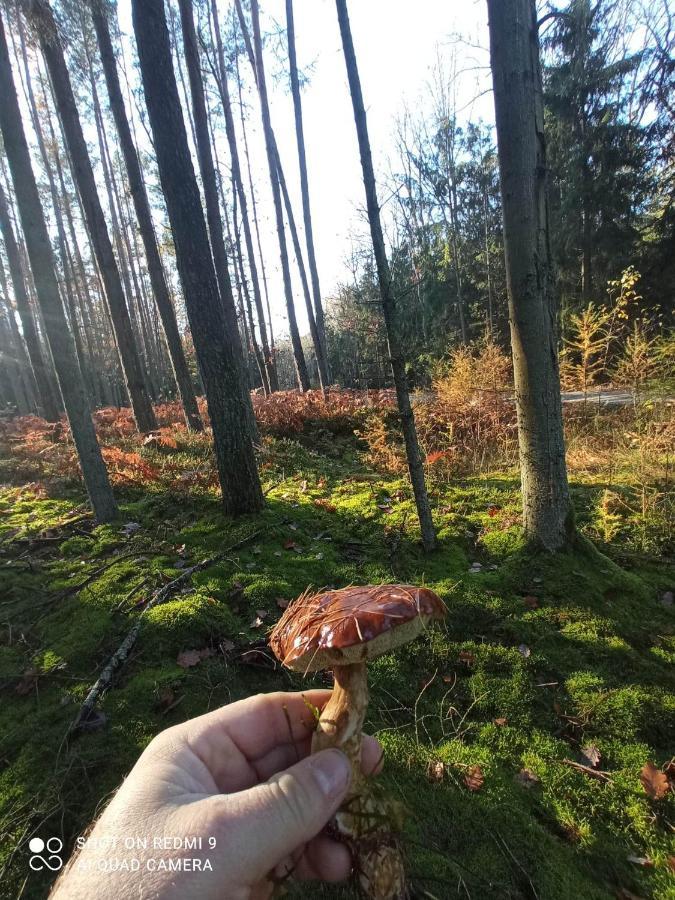 Apartament 4 Osobowy Kujan Kültér fotó